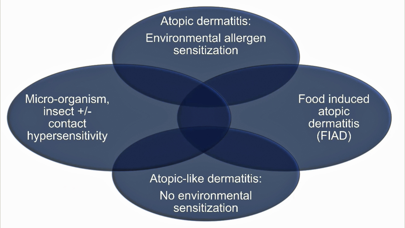 Redefining CAD (T Nuttall, WCVD9)