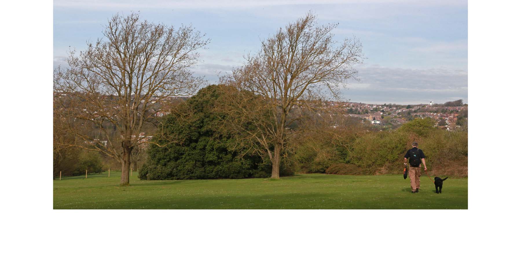 Walking to my New Priory Dermatology Clinic with 'Tap', my Labrador Retriever